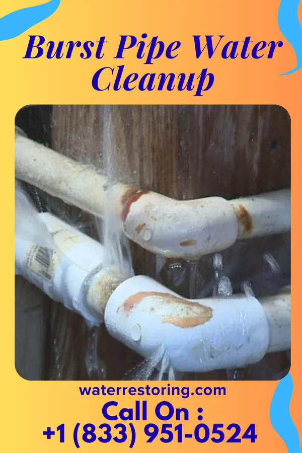 Burst Pipe Water Cleanup in Snyder, TX