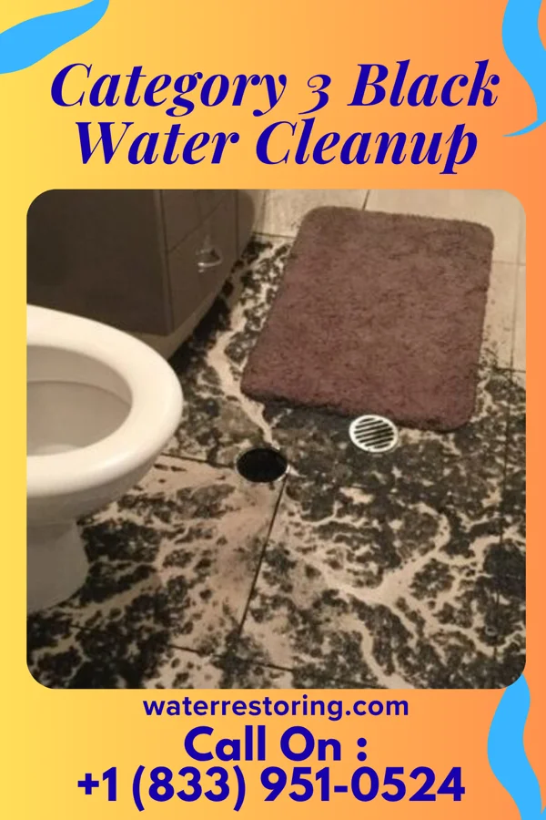 Category 3 Black Water Cleanup in Snyder, TX