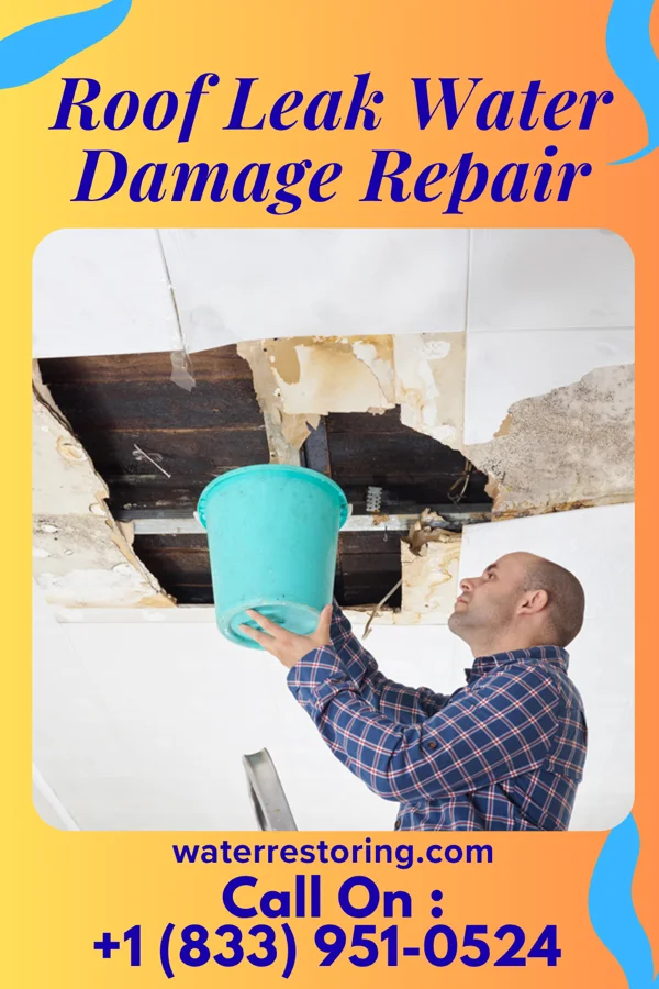 Roof Leak Water Damage Repair in Snyder, TX